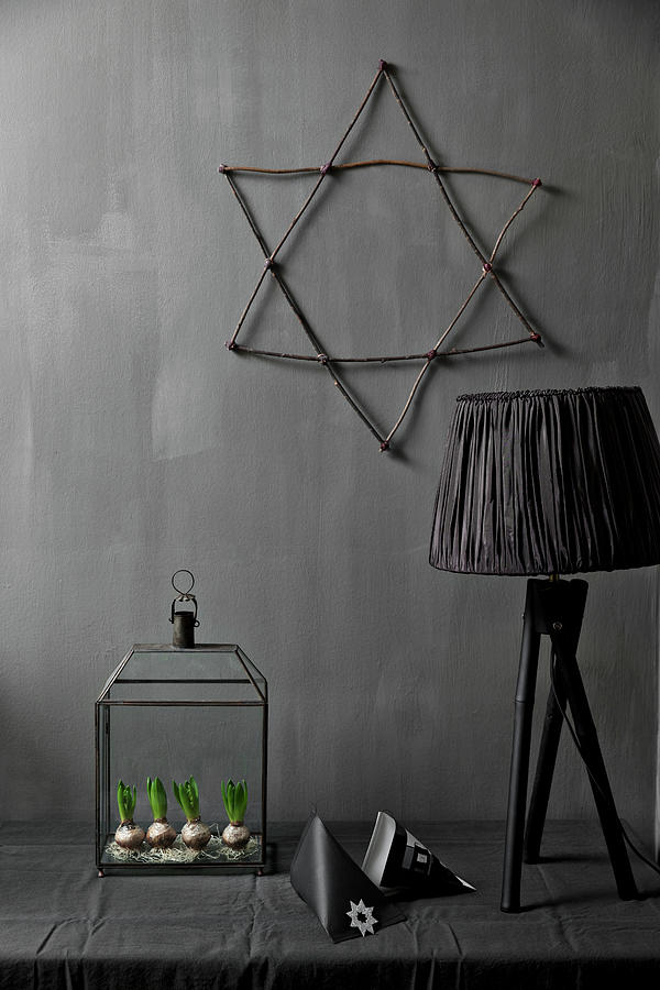 Terrarium And Black Table Lamp Below Star On Dark Wall Photograph by Lykke Foged & Morten Holtum