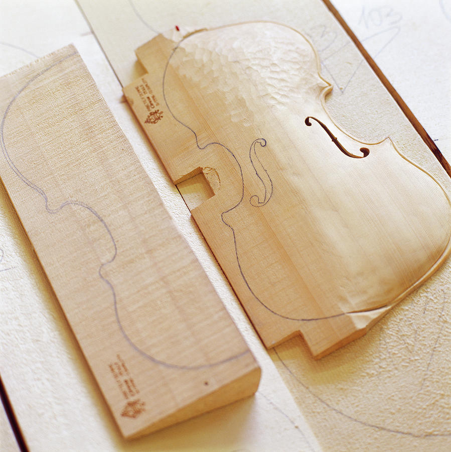Tesero, Musical Instrument, Italy Digital Art by Olimpio Fantuz