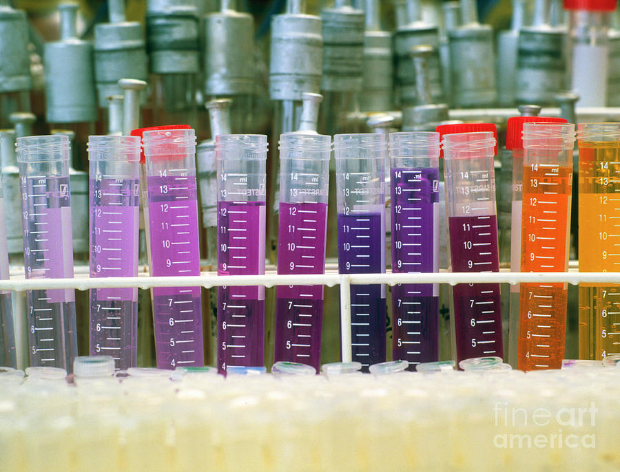 Test Tubes Of Culture Media Of Various Colours Photograph by Maximilian ...