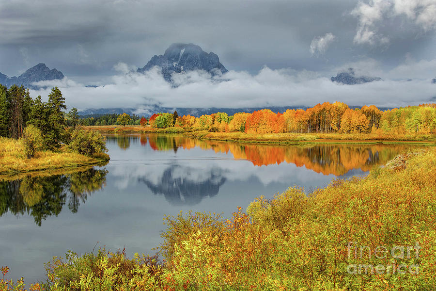 Oxbow Bend and Mt Moran Photograph by Lynn Sprowl