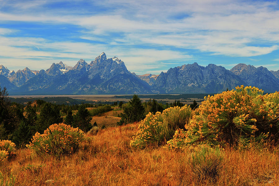 Teton Valley View Photograph by Greg Norrell
