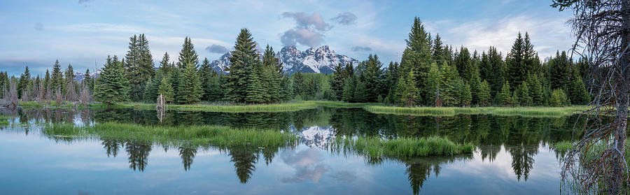 Tetons from Schwabacher Landing Photograph by Dave Wilson