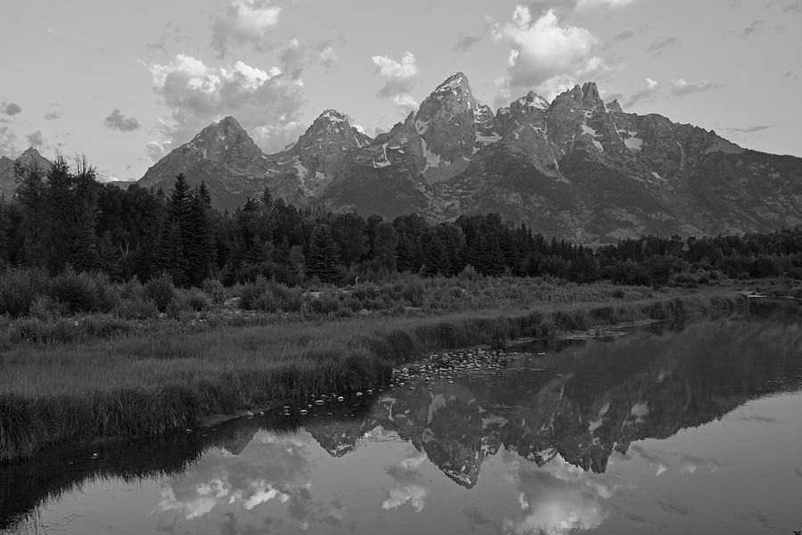 Tetons Reflectioat Schwabachers Landing Black and White Photograph by Bruce Gourley