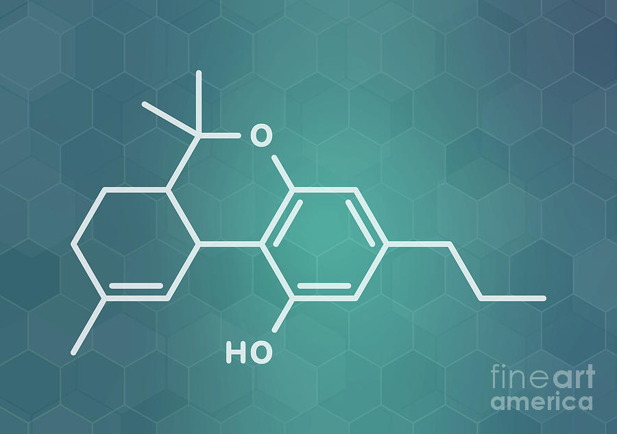 Tetrahydrocannabivarin Cannabinoid Molecule Photograph By Molekuul ...