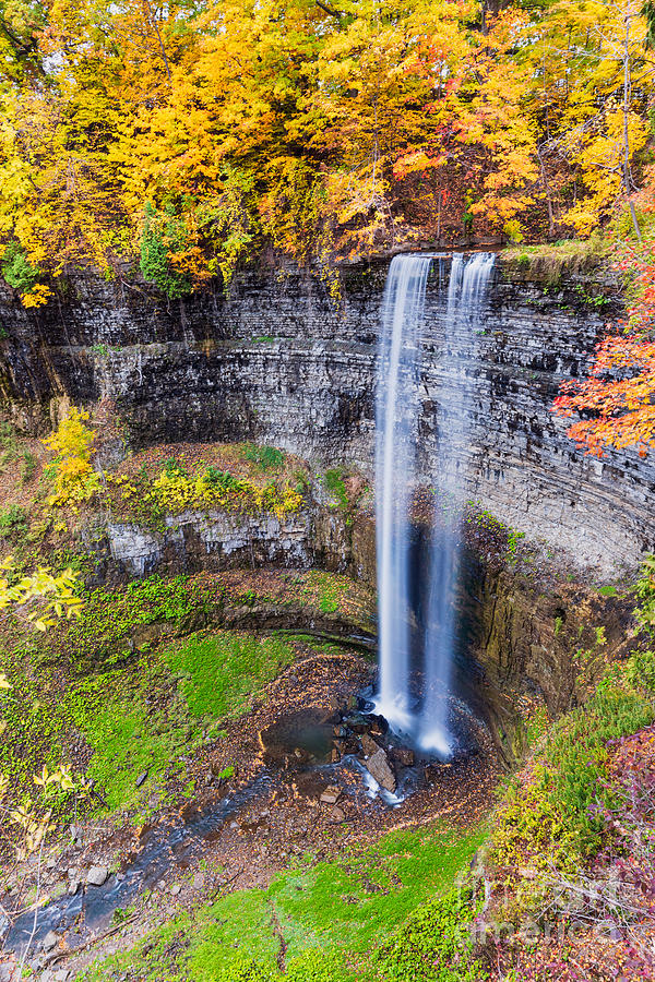 Tew's Falls by Alma Danison Tew's Falls by Alma Danison