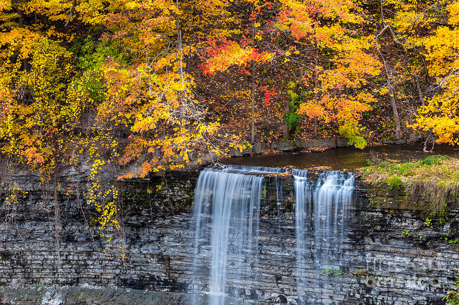 Fall at Tew's Falls by Alma Danison Fall at Tew's Falls by Alma Danison