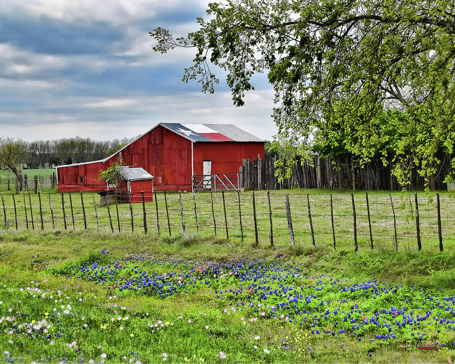 Texas Barn with Bluebonnets Photograph by RT Hicks - Fine Art America