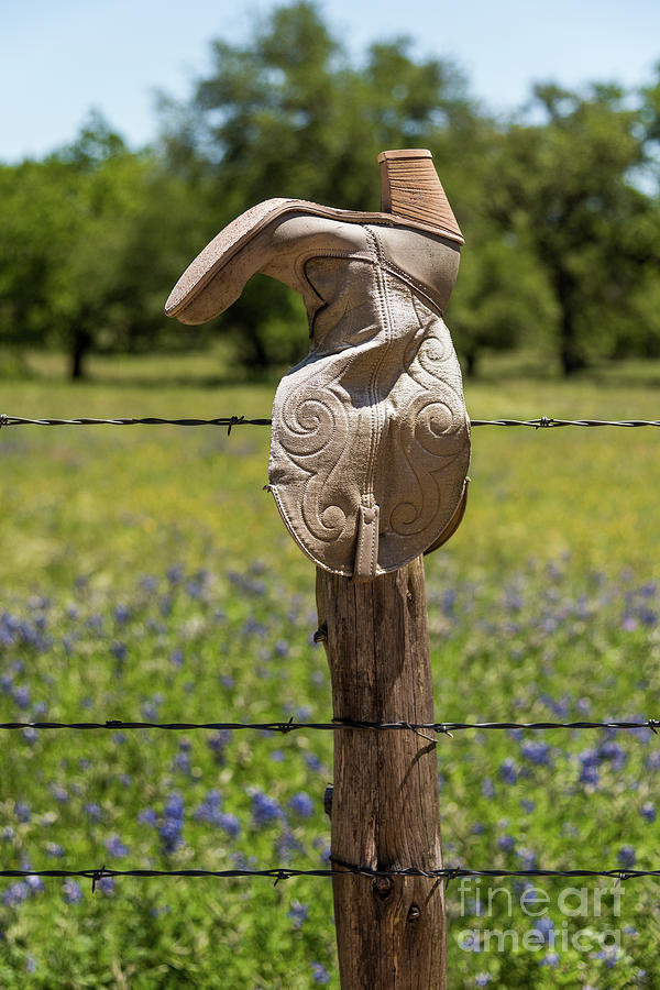 Texas boot Photograph by Paul Quinn