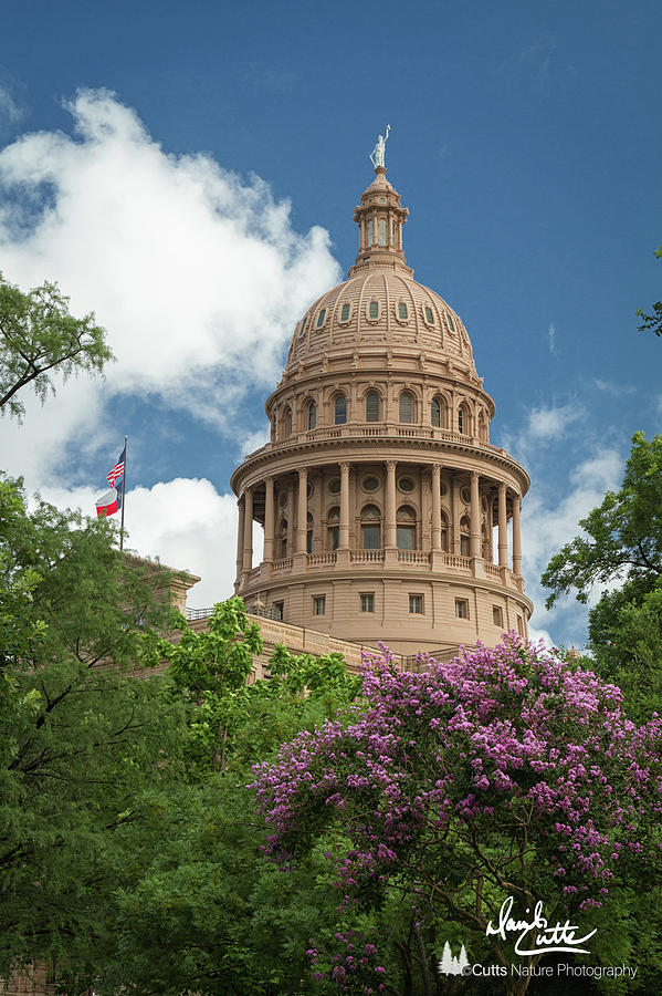 American Photograph - Texas Capital Building by David Cutts American Photograph - Texas Capital Building by David Cutts