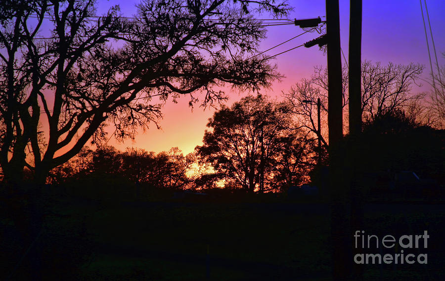 Sunset Photograph - Texas Country Sunset by Joan Bertucci