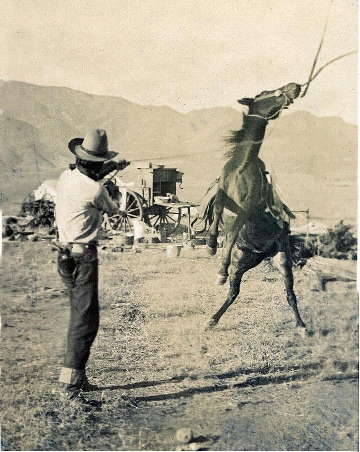 TEXAS COWBOY, 1910 photo, Roping Horse,Wagon Painting by Celestial Images