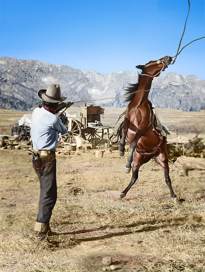 Texas Cowboy C1910 Photograph By Erwin Evans Smith