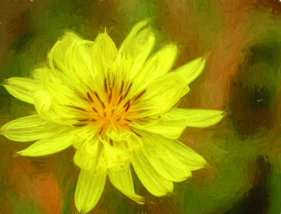 Texas Dandelion Painted Photograph by Judy Vincent