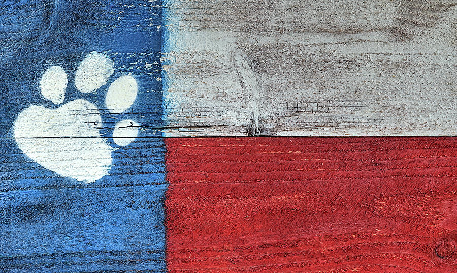 Texas Dog Flag Painting by JC Findley