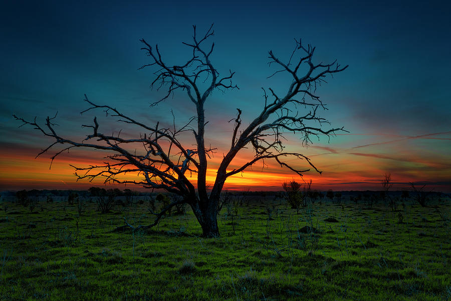 Texas Farmland Sunrise Photograph by Michael Ash