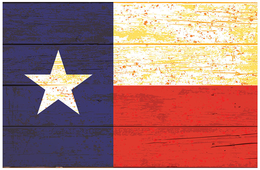 Texas Fence Flag Digital Art by Gary Grayson