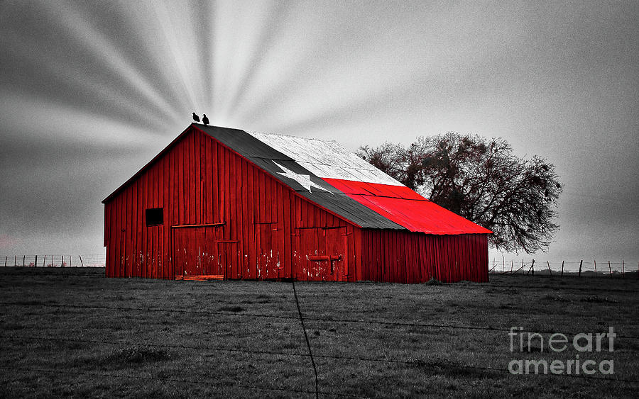 Texas Flag Barn 3 Photograph