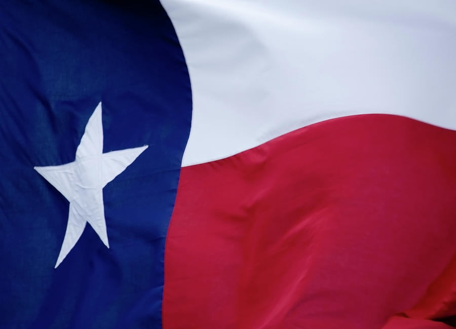 Texas Flag Photograph by Dlanier