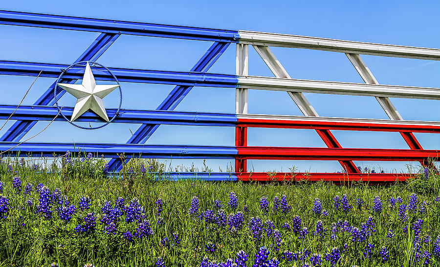 Texas Flag Painted Gate with Blue Bonnets by Robert Bellomy Texas Flag Painted Gate with Blue Bonnets by Robert Bellomy