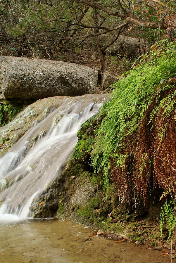 Texas Hill Country Waterfall And Ferns Photograph by Igermz