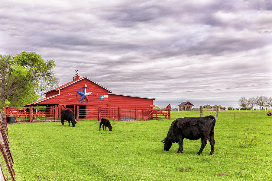 Texas Pride in Ellis County by Victor Culpepper Texas Pride in Ellis County by Victor Culpepper