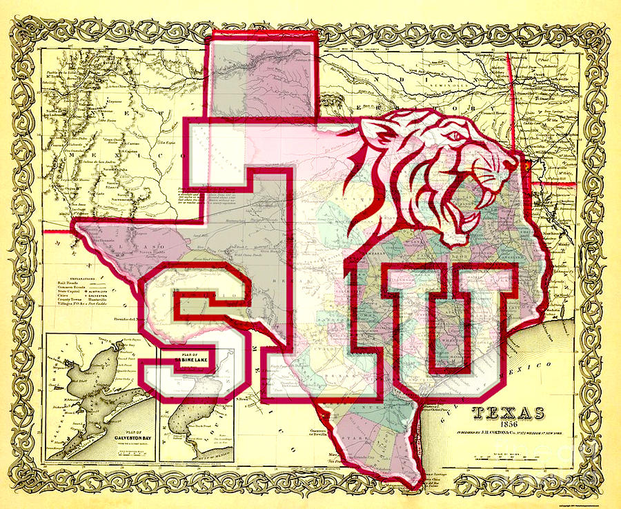 Campus Lab Texas Southern University Tigers Logo T-Shirt