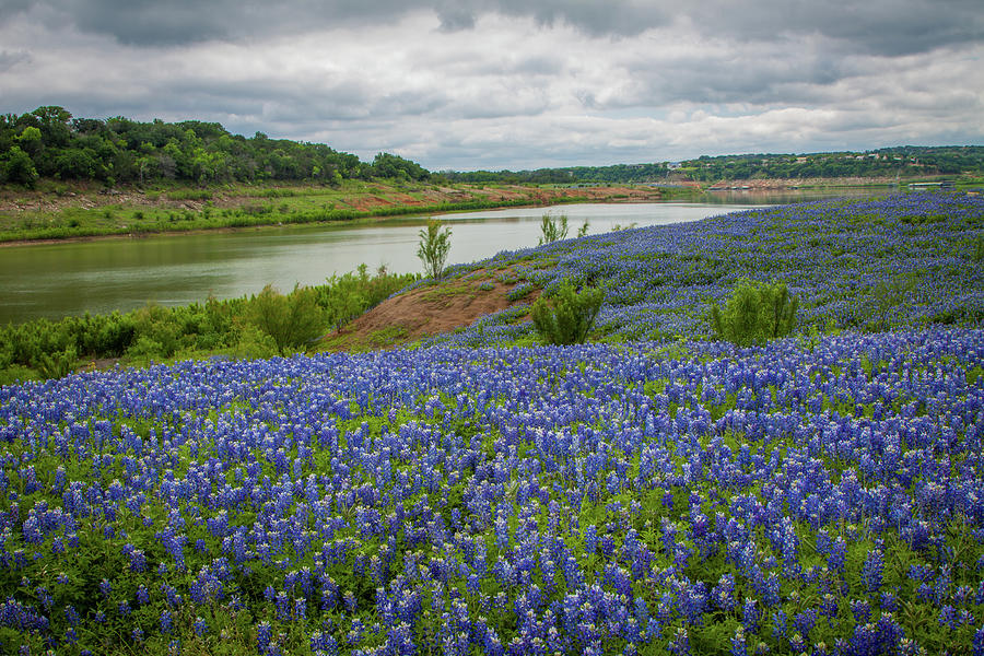 Spring Photograph - Texas Spring 2 by Tom Weisbrook