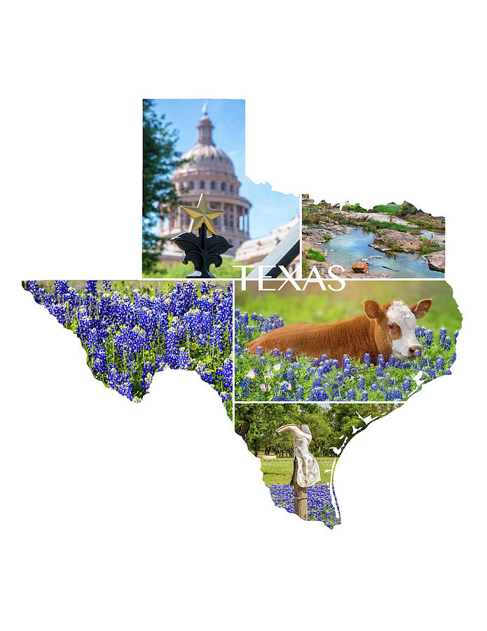 Texas State Shaped Collage Photograph by Lynn Bauer