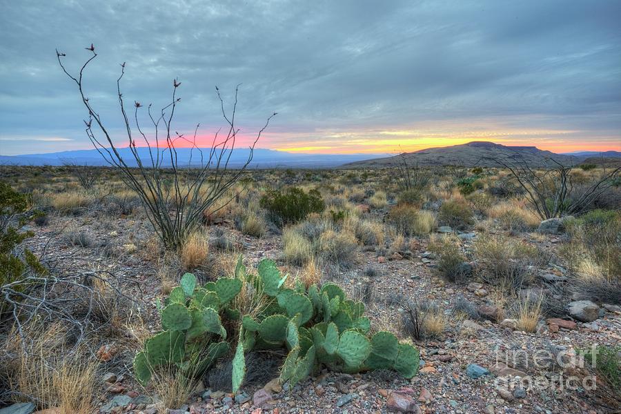 Desert Photograph - Texas Sunrise by Joe Sparks Desert Photograph - Texas Sunrise by Joe Sparks