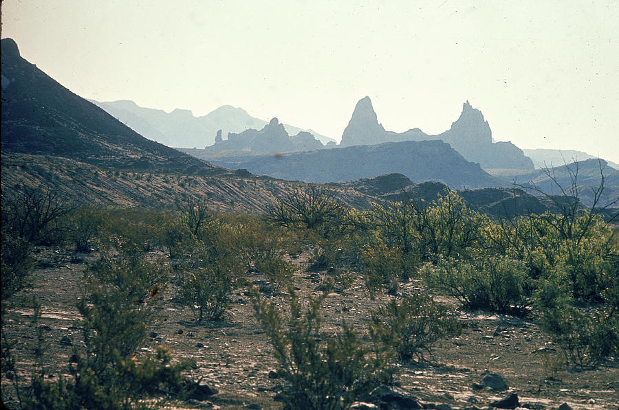Big Bend National Park Photograph - Texas, United States by Ralph Crane