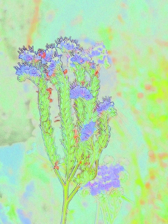 Texas, Wild, Flowers, Blue, Green, Pastel Digital Art by Scott S Baker