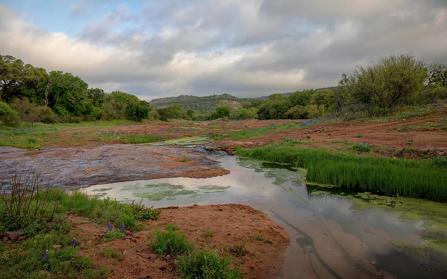 Texas Willow Loop Morning by Harriet Feagin Texas Willow Loop Morning by Harriet Feagin