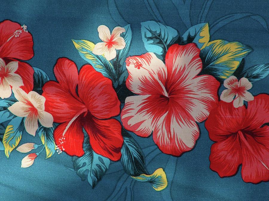 Textile - Hibiscus 8 Digital Art by Scott S Baker
