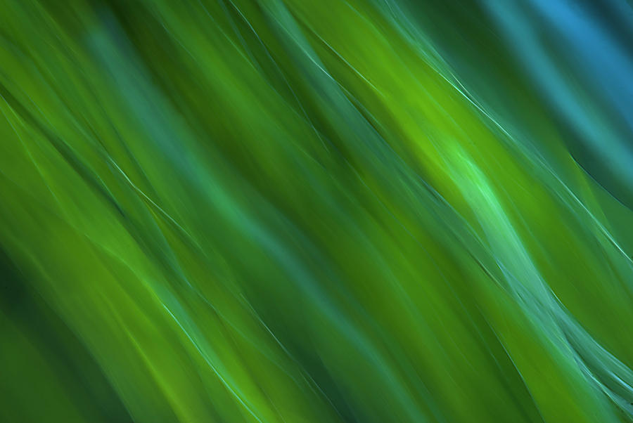 Textured Green Grass by Yulia Kazansky Textured Green Grass by Yulia Kazansky