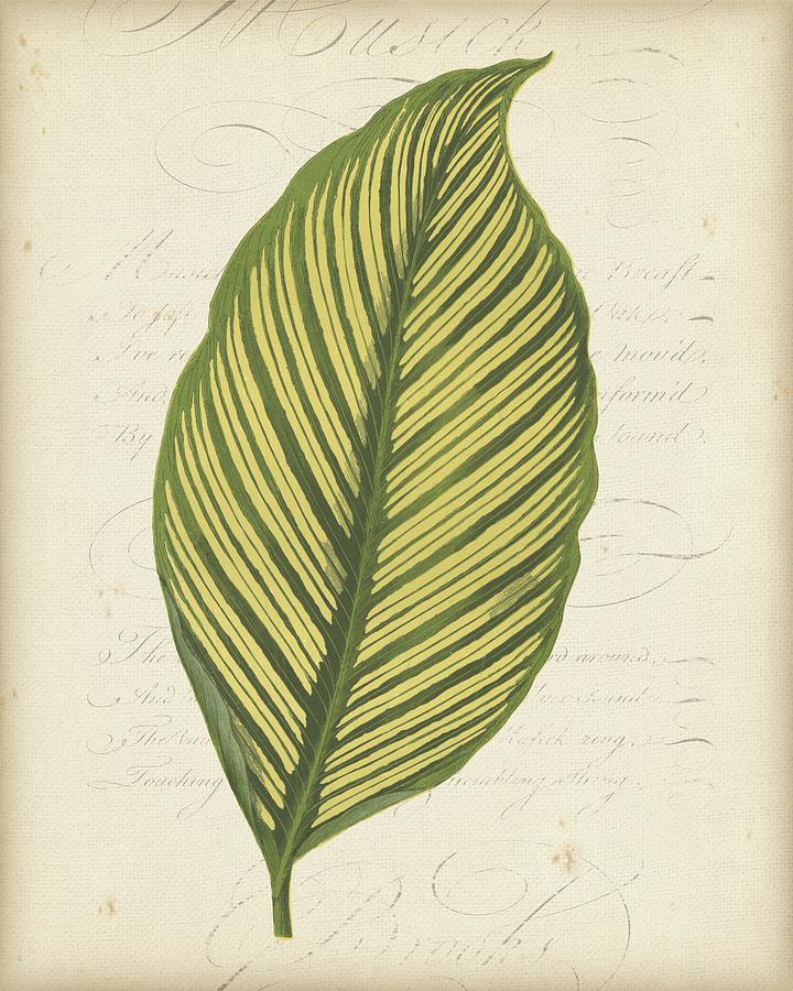 Nature Painting - Textured Leaf Study Iv by Vision Studio