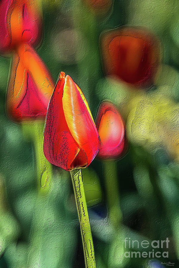 Textured Tulip Garden Mixed Media by Jennifer White
