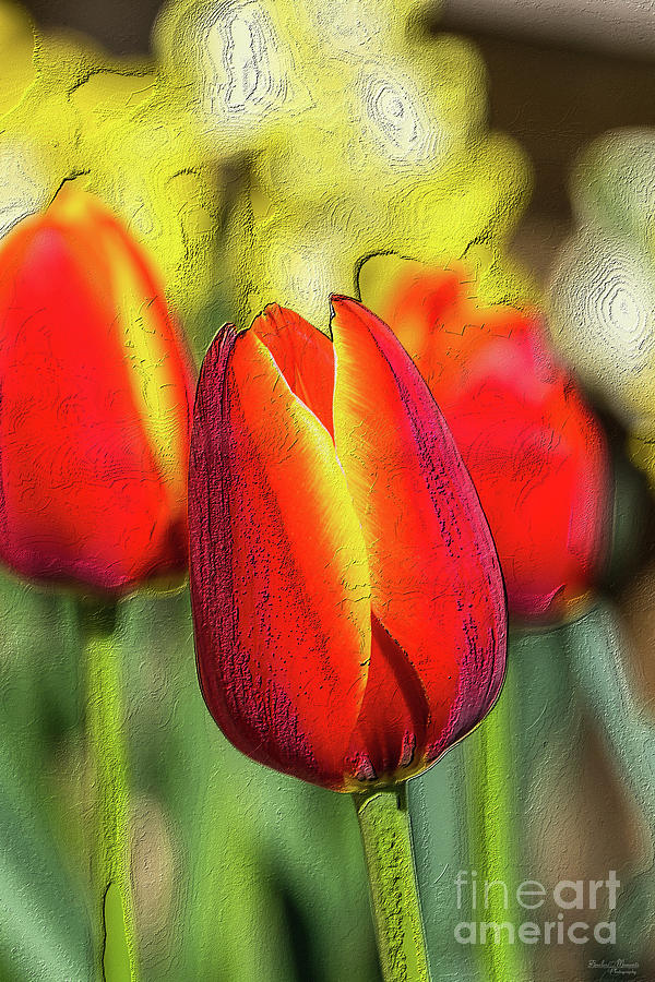 Textured Tulip Mixed Media by Jennifer White