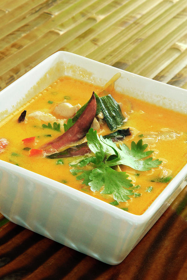 Thai Chicken Red Curry Dish Photograph by Joakimbkk