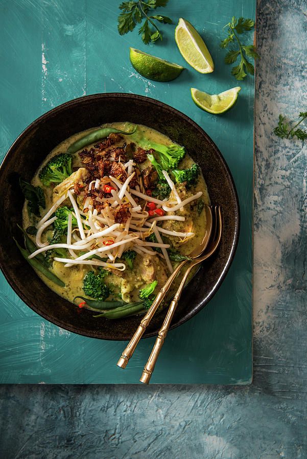Thai Green Chicken Curry With Beansprouts, Lime, Chillis And Fried Crispy Onion. Photograph by Magdalena Hendey