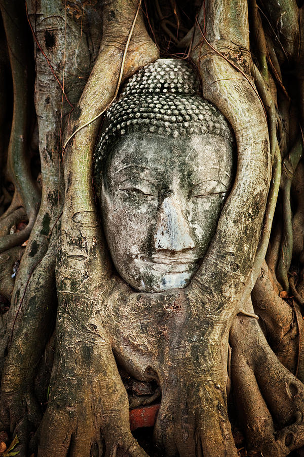 Thailand, Central Thailand, Ayutthaya, Wat Mahathat, Buddha Head In Tree Roots Digital Art by Luigi Vaccarella
