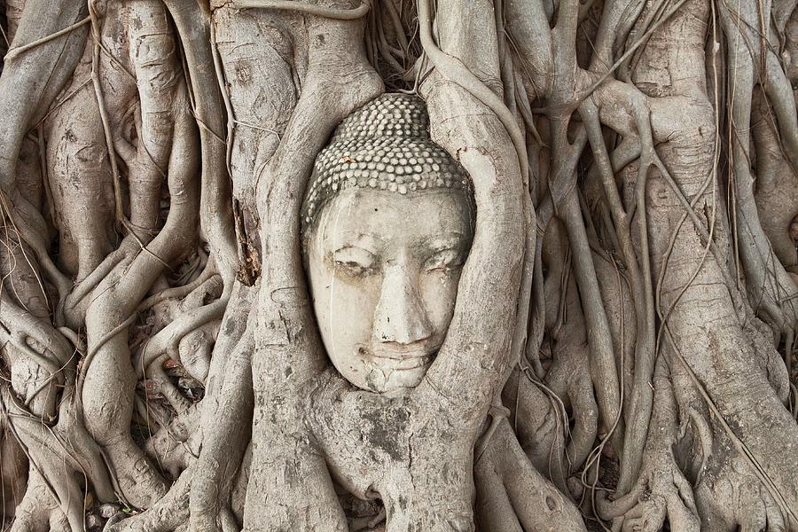 Thailand, Central Thailand, Ayutthaya, Wat Mahathat, Stone Buddha Head Enveloped By Tree Roots Digital Art by Luigi Vaccarella