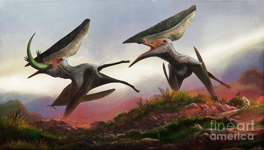 Thalassodromeus Pterosaurs Hunting Photograph by Mark P. Witton/science ...