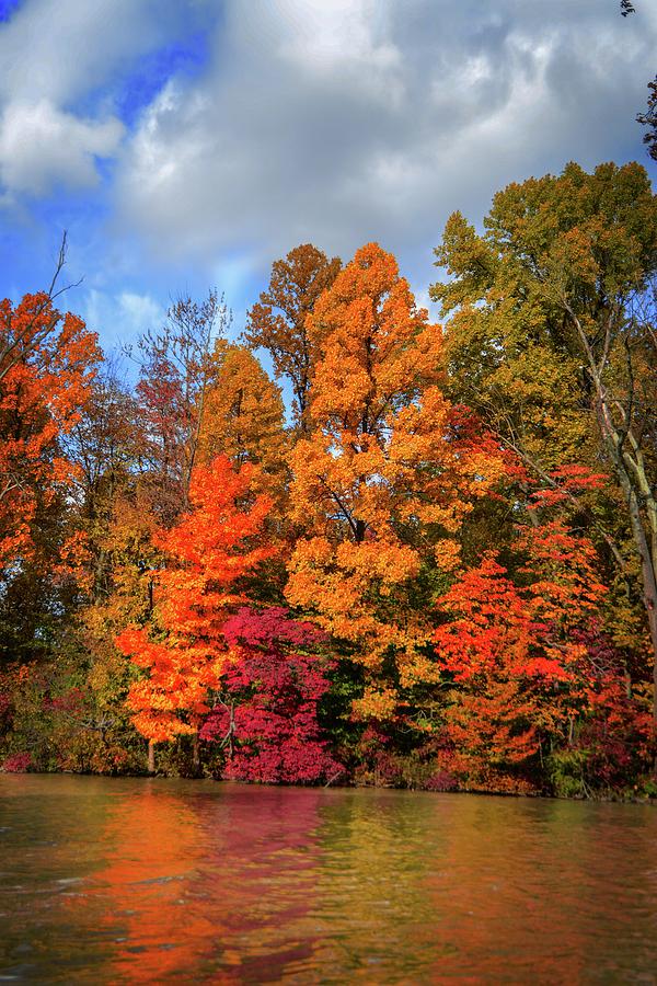 Thankful Autumn Colors Photograph by Mary Timman