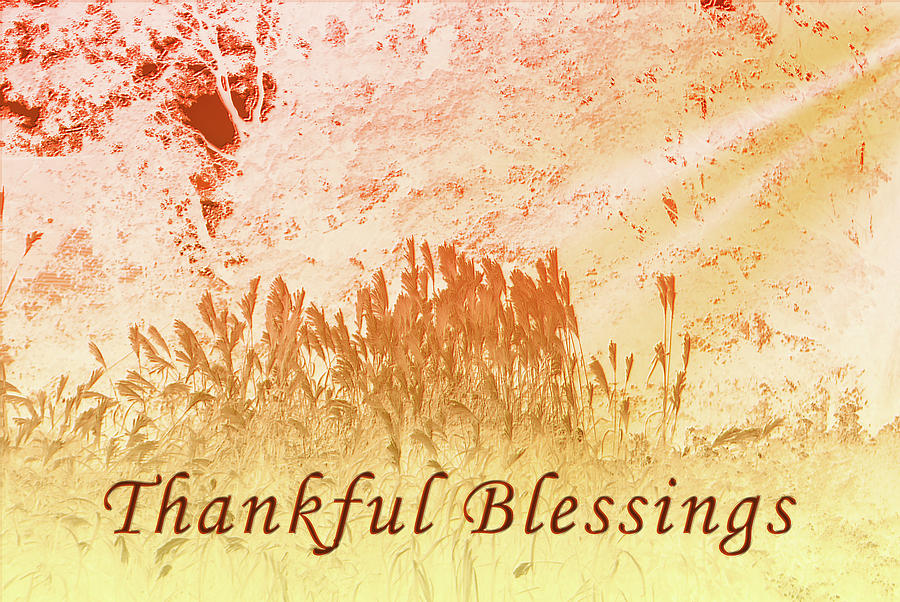 Thankful Blessings Abstract Photograph