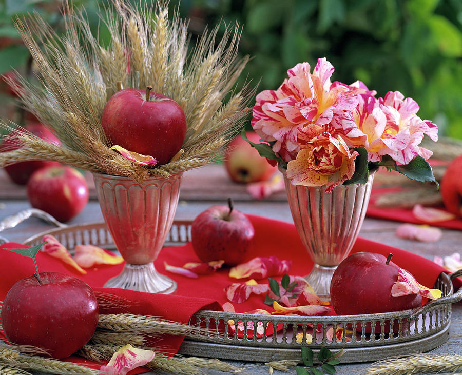 Thanksgiving With Roses, Apples And Cereals Photograph by Friedrich Strauss
