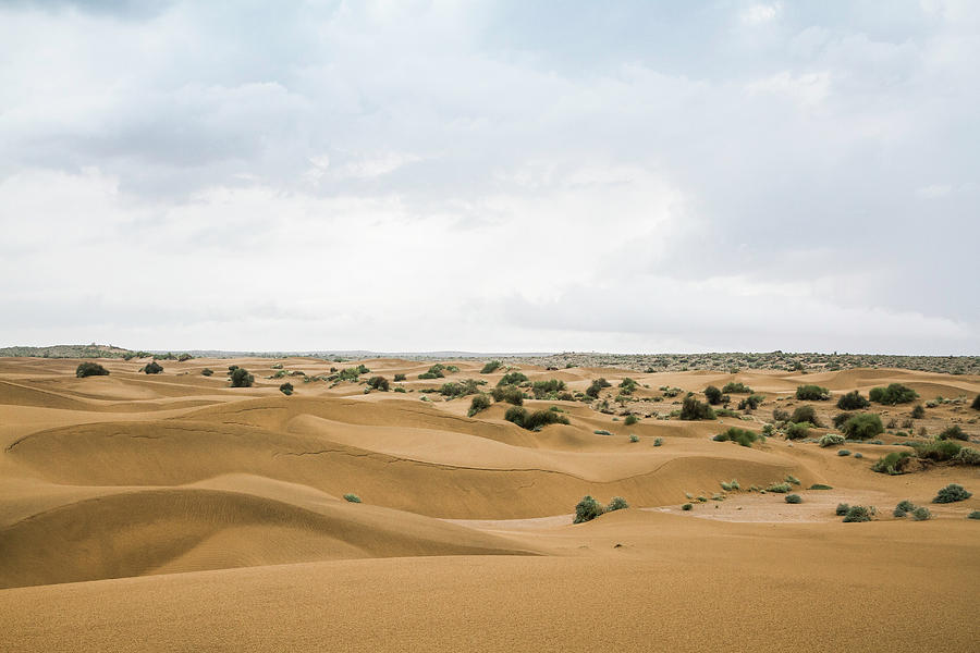 Sam Sand dunes in Thar Desert. Rajasthan, India photo – Sahara desert Image  on Unsplash