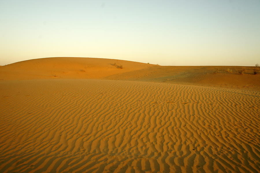 Thar Desert Photograph by Nigel Killeen