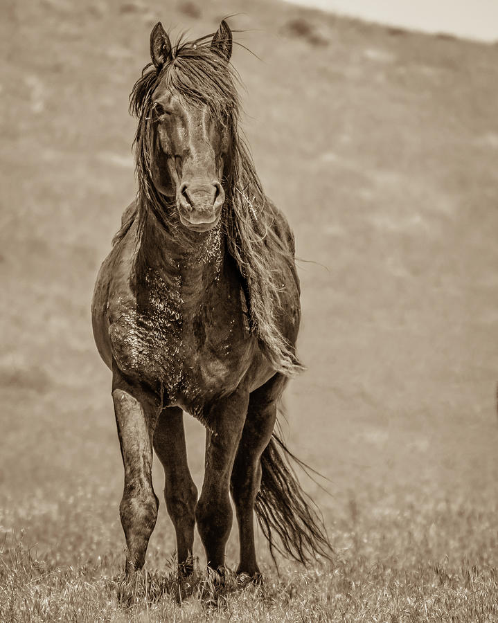 That Rugged Look by Mary Hone That Rugged Look by Mary Hone