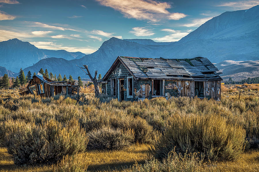 That Shack On 395 Photograph