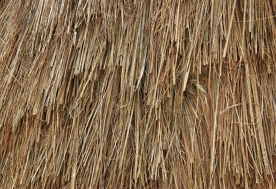 Thatched Background Photograph by Trigga